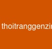 thoitranggenzin
