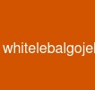 whitelebalgojekcloneapp