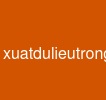 xuatdulieutrongjava