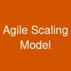 Agile Scaling Model