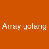 Array golang