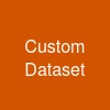 Custom Dataset