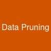 Data Pruning