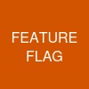 FEATURE FLAG
