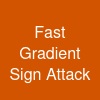Fast Gradient Sign Attack