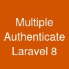 Multiple Authenticate Laravel 8