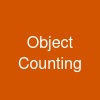 Object Counting