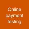 Online payment testing