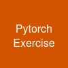 Pytorch Exercise