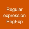 Regular expression (RegExp)