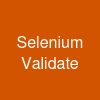Selenium Validate