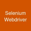 Selenium Webdriver