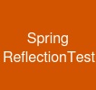 Spring ReflectionTestUtils