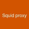 Squid proxy