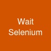 Wait Selenium