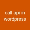 call api in wordpress