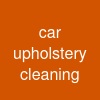 car upholstery cleaning