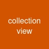 collection view