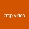 crop video