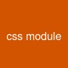 css module