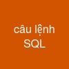 câu lệnh SQL