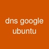 dns google ubuntu