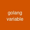 golang variable