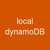 local dynamoDB