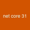 .net core 3.1