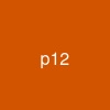 .p12