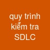 quy trình kiểm tra SDLC