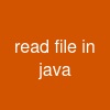 read file in java