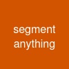 segment anything
