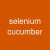 selenium cucumber