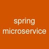 spring microservice