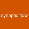 synaptic flow