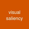 visual saliency