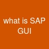 what is SAP GUI