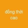 đồng thời cao