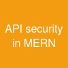 API security in MERN