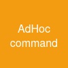 Ad-Hoc command