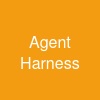 Agent Harness