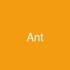 Ant