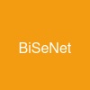 BiSeNet