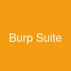 Burp Suite