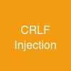 CRLF Injection