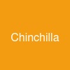 Chinchilla