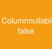 @Column(nullable = false)