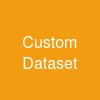 Custom Dataset