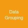 Data Grouping